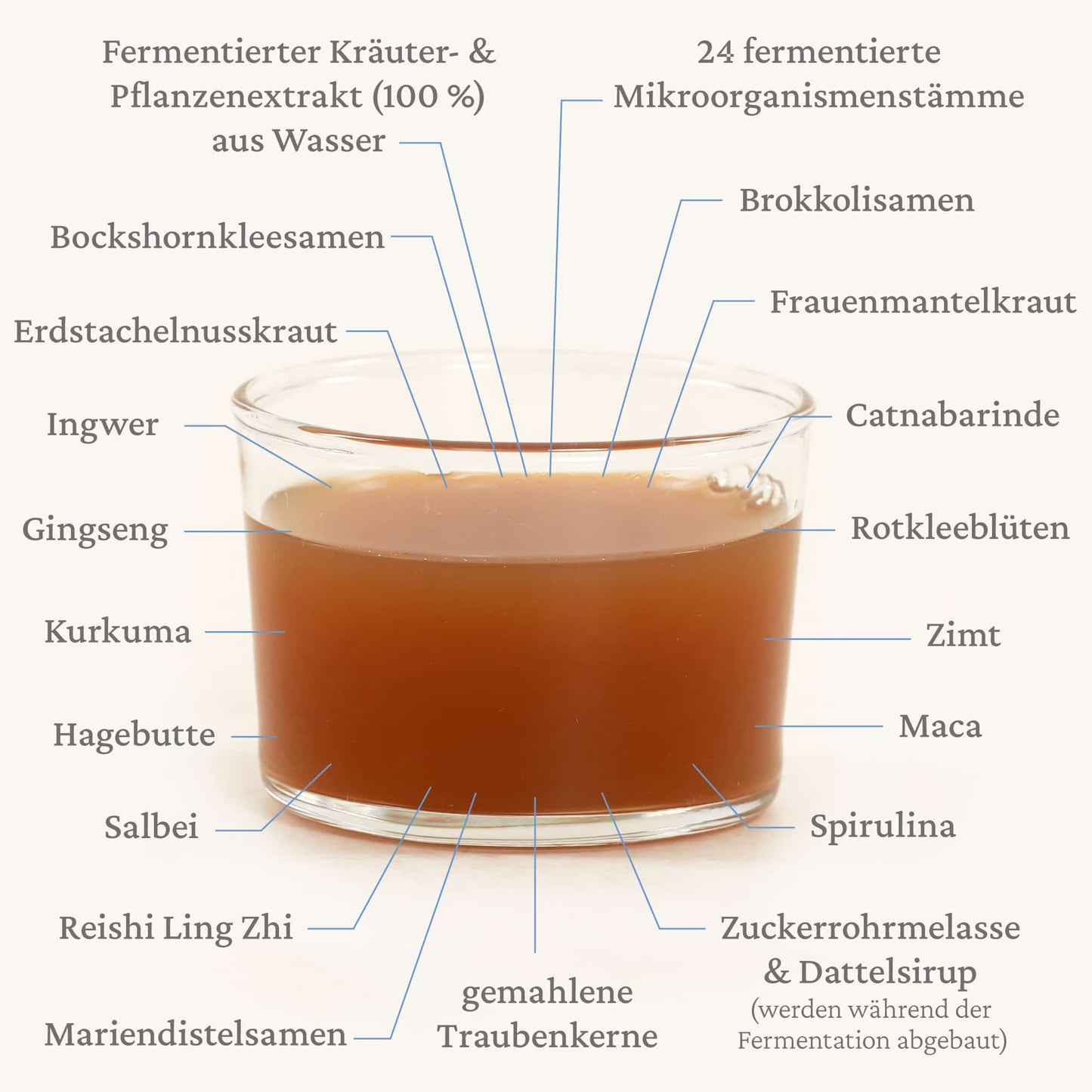 Mein Mikrobiom Women