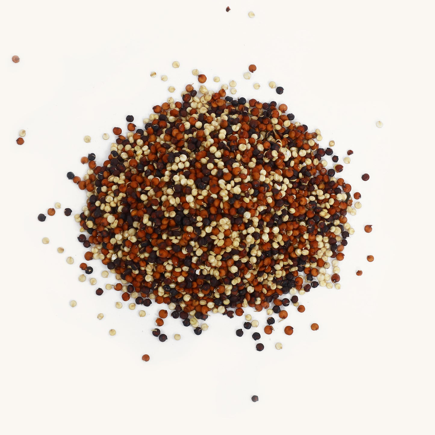 Gekeimte Quinoa