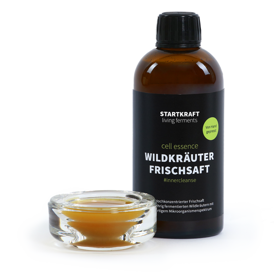 Wildkräuter Frischsaft