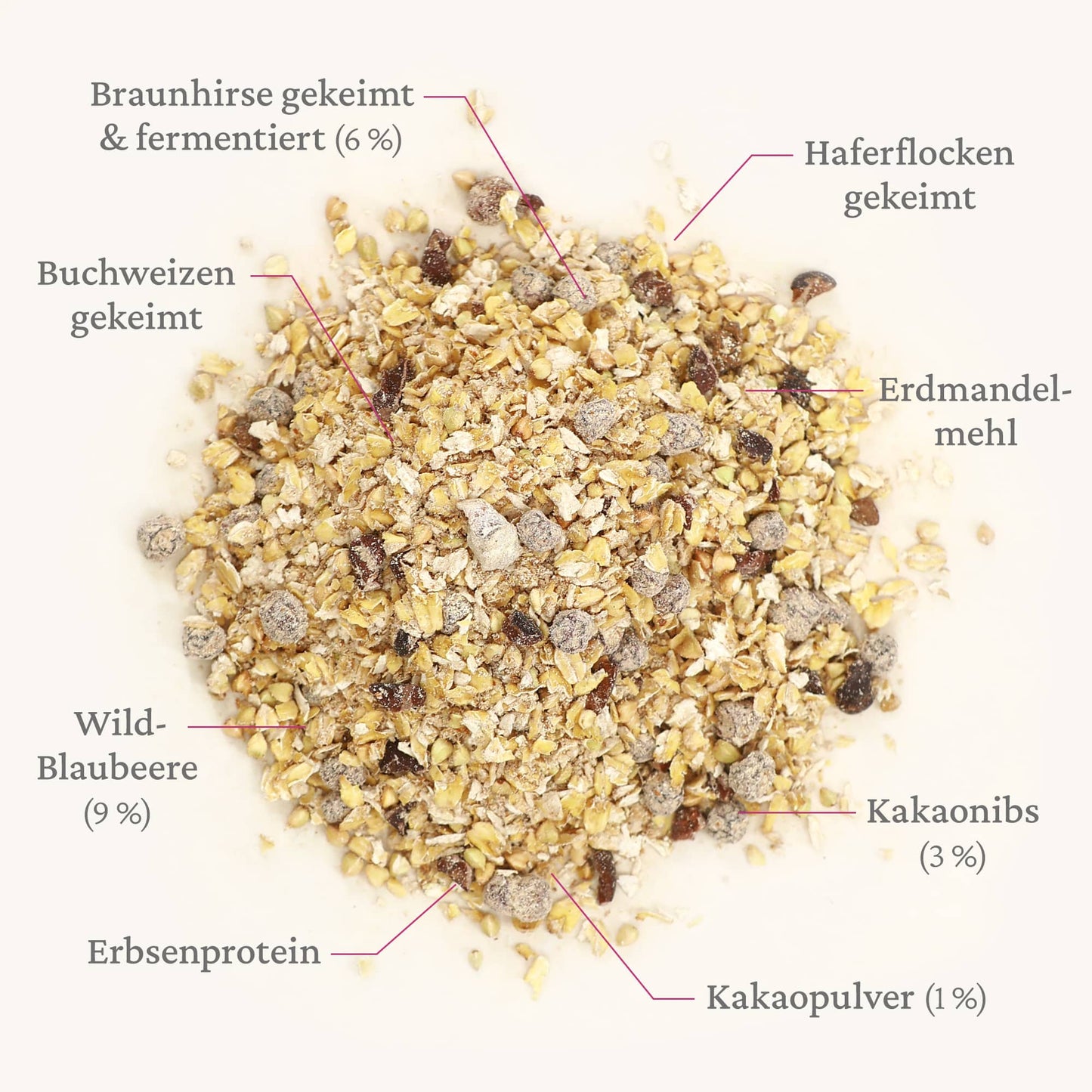 Beauty Porridge - gekeimt und fermentiert