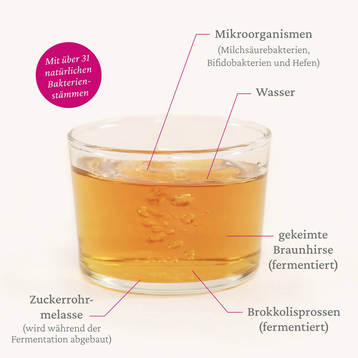 Mein Mikrobiom Beauty