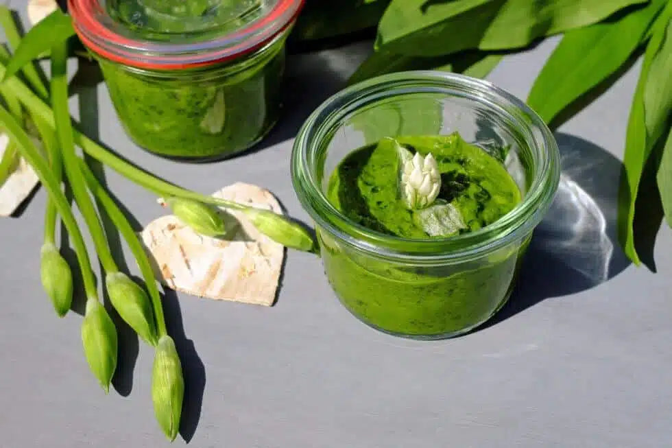 Bärlauchpesto