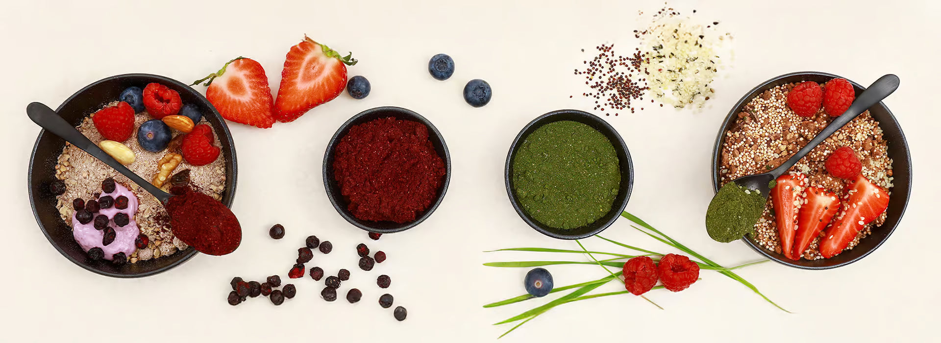 Microgreens & Antioxidantien