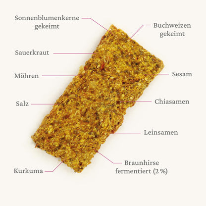 Bio- Fermentiertes Gemüsebrot