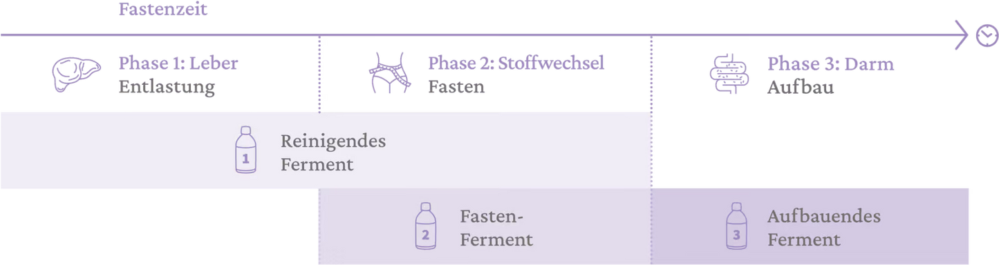 Nr. 2 Fasten-Ferment