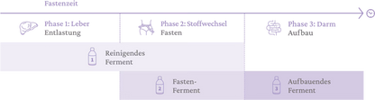 Nr. 2 Fasten-Ferment