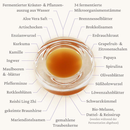 Nr. 3 Aufbauendes Ferment
