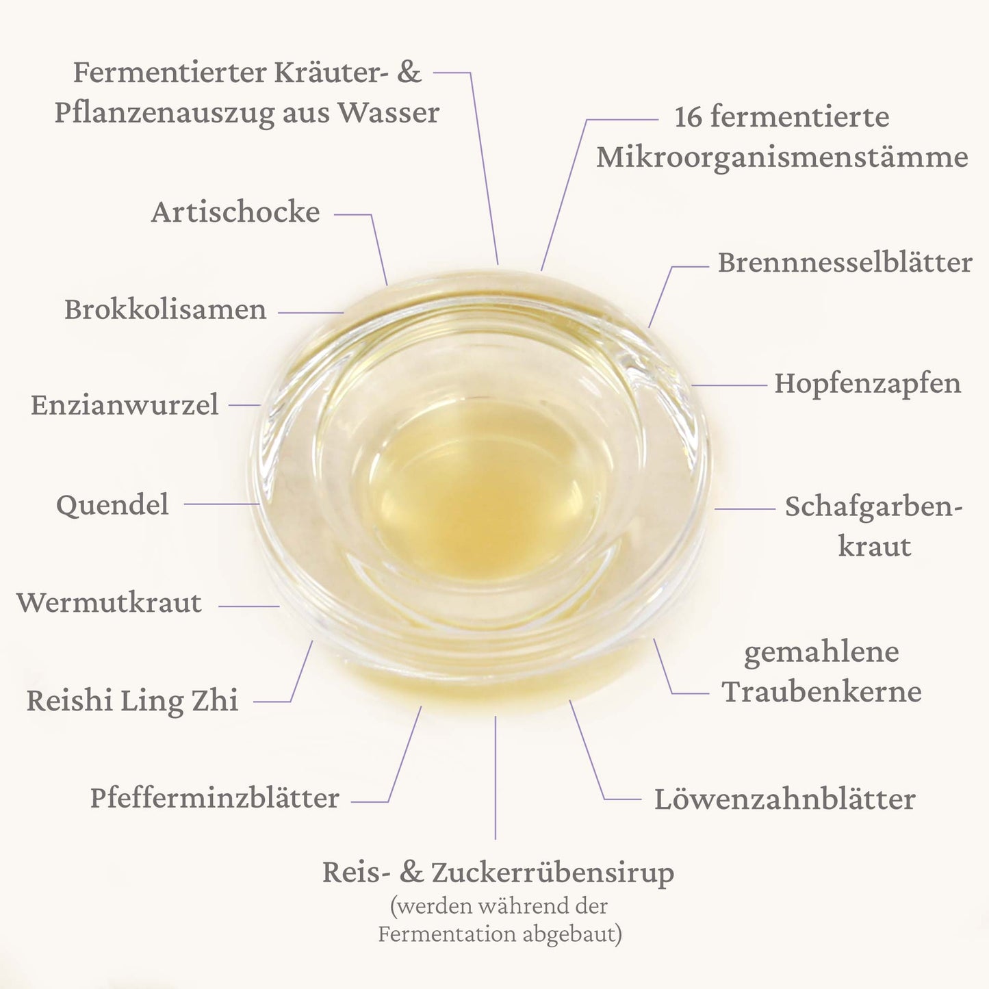 Nr. 2 Fasten-Ferment