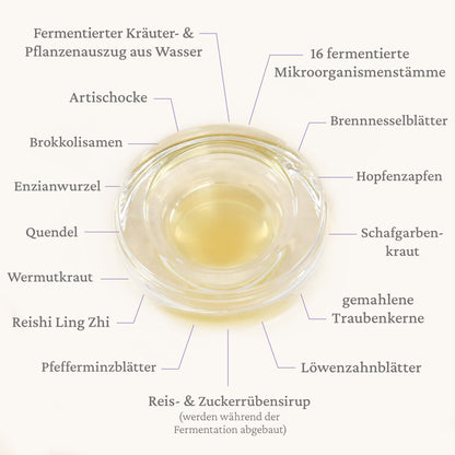 Nr. 2 Fasten-Ferment