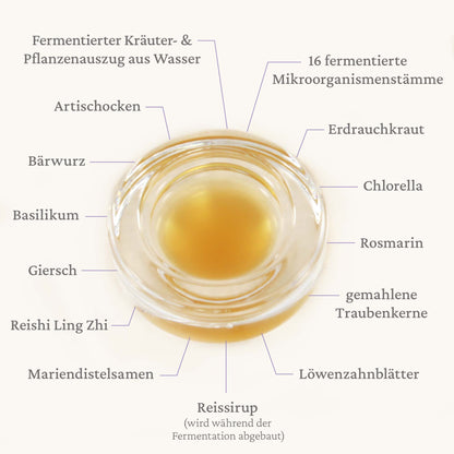 Nr. 1 Reinigendes Ferment