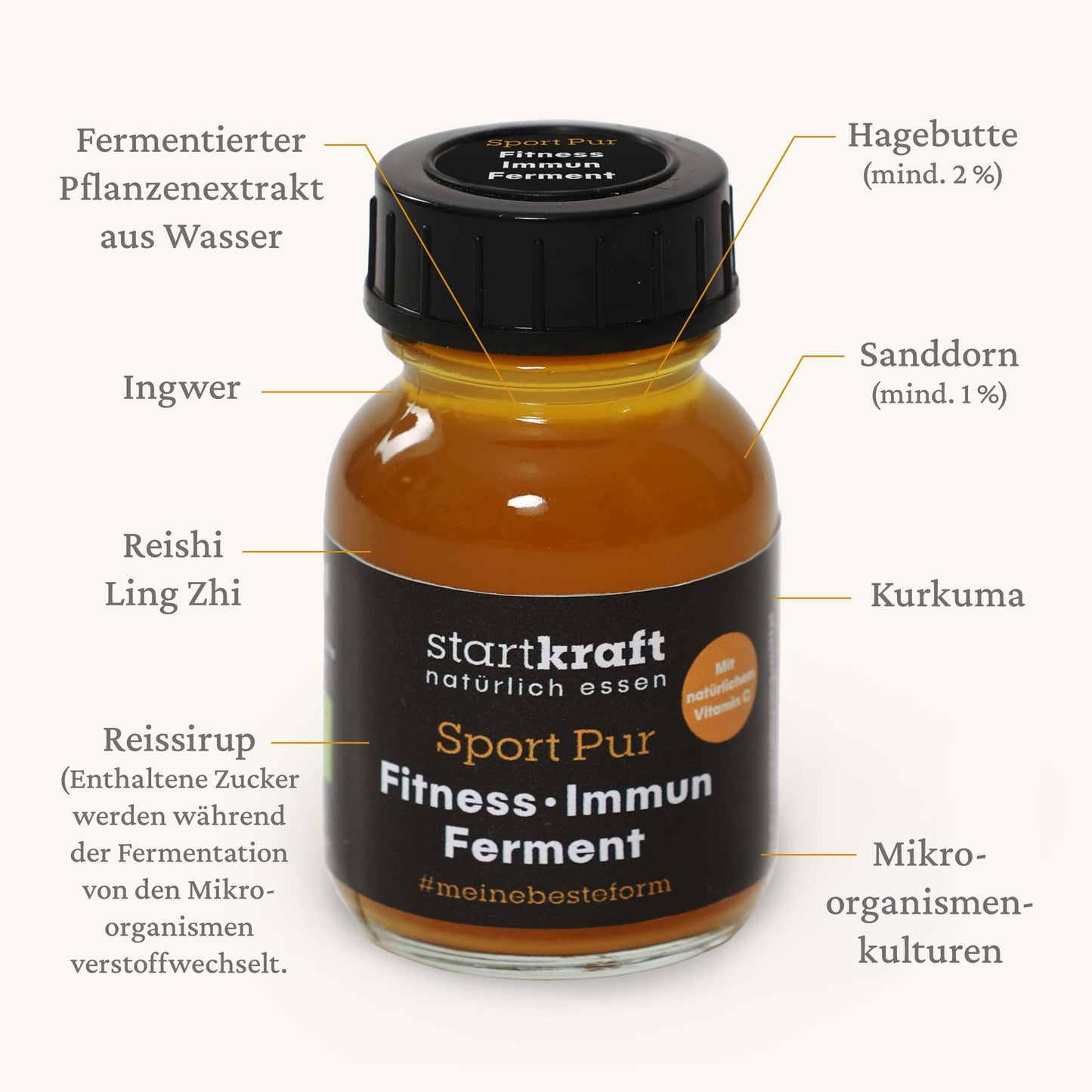 Fitness-Immun-Ferment