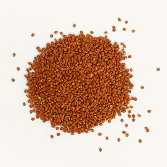 Gekeimte Braunhirse