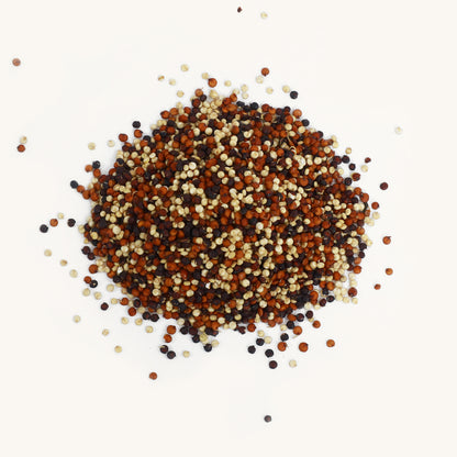 Gekeimte Quinoa