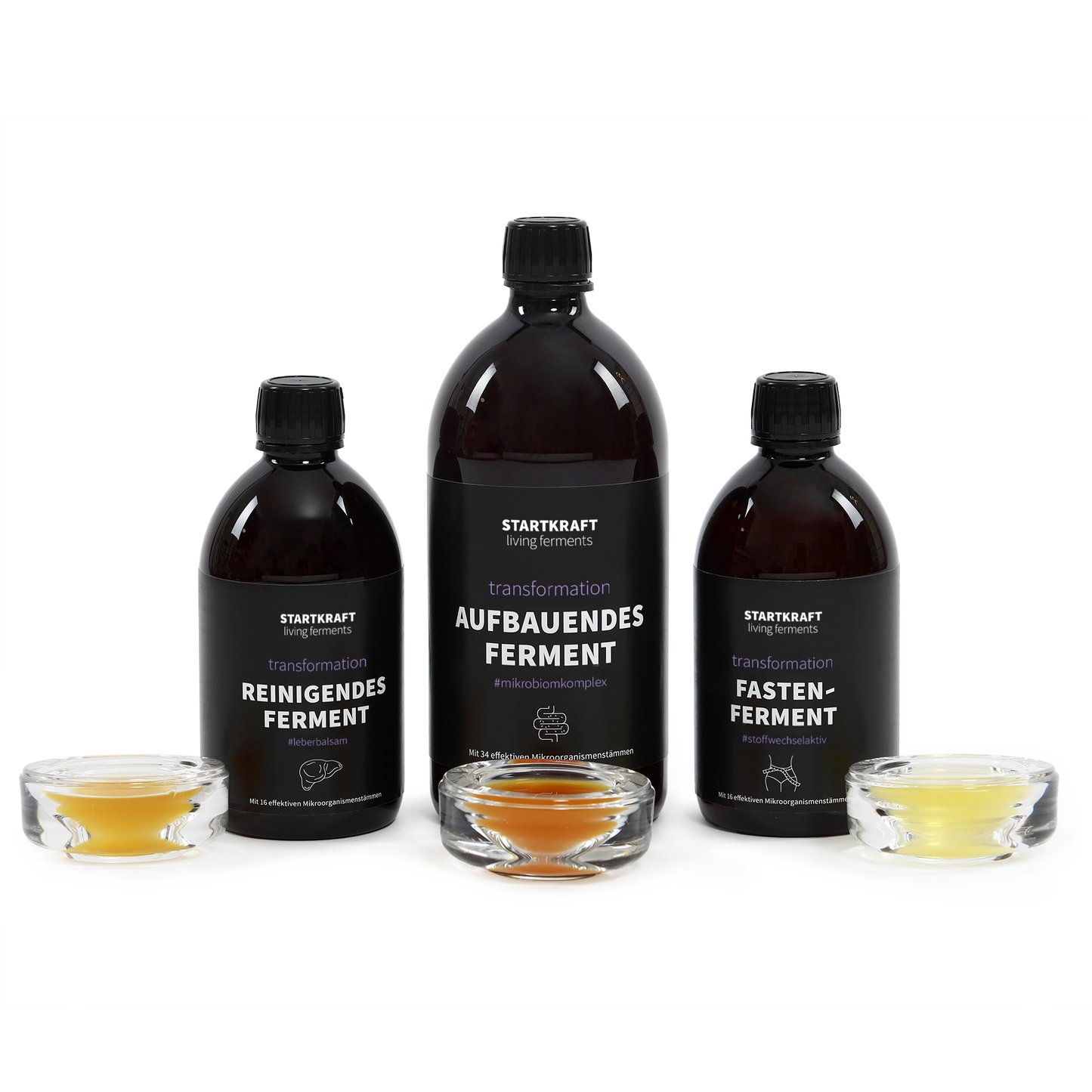 Mikrobiom-Fastenpaket