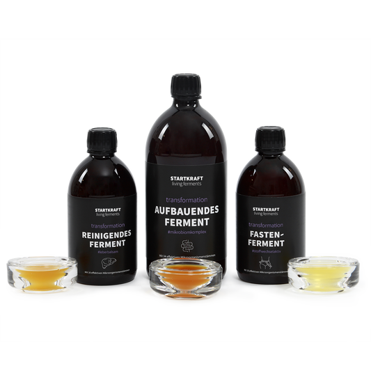 Mikrobiom-Fastenpaket