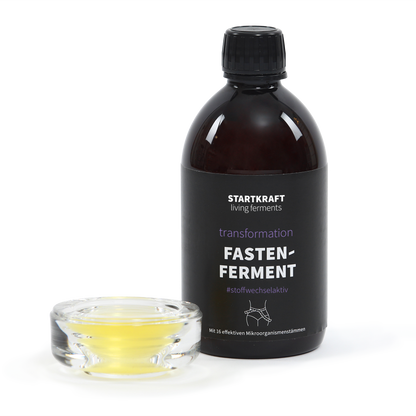 Nr. 2 Fasten-Ferment