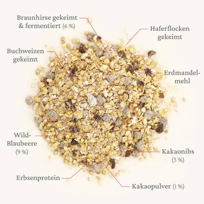 Beauty Porridge - gekeimt und fermentiert