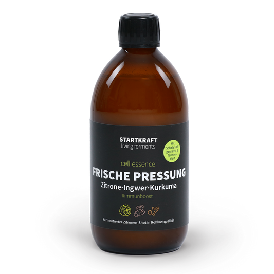 Frische Pressung Zitrone-Ingwer-Kurkuma