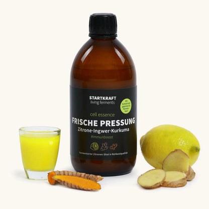 Frische Pressung Zitrone-Ingwer-Kurkuma