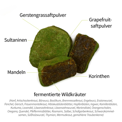 Bitter Wild Bites