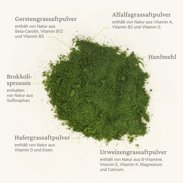 Set aus Zellkraft PUR und Isolierflasche – Bild 3